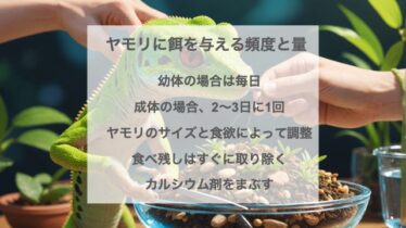 ヤモリの餌に家にあるものは使える?昆虫ゼリーの代用品は?
