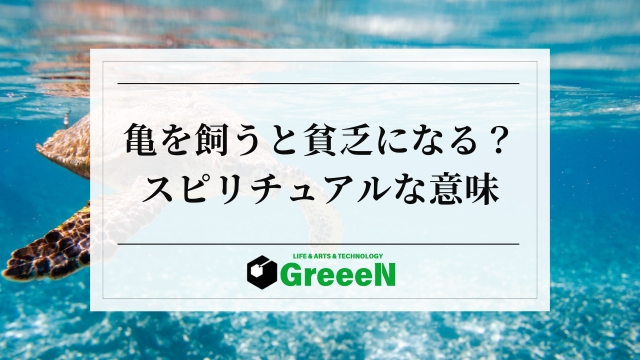 亀を飼うと貧乏になる？