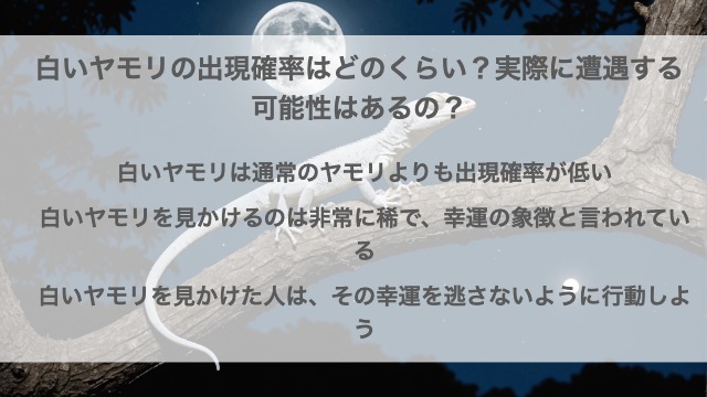 白いヤモリの出現確率はどのくらい？