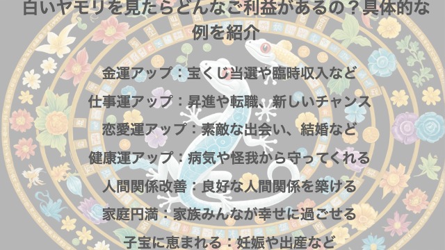 白いヤモリを見たらどんなご利益があるの？