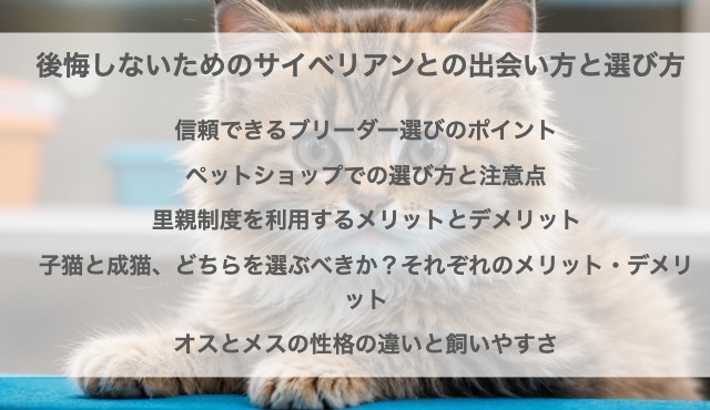 後悔しないためのサイベリアンとの出会い方と選び方