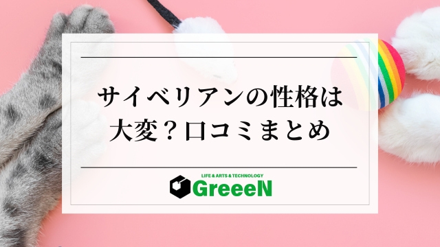 サイベリアンは後悔する？